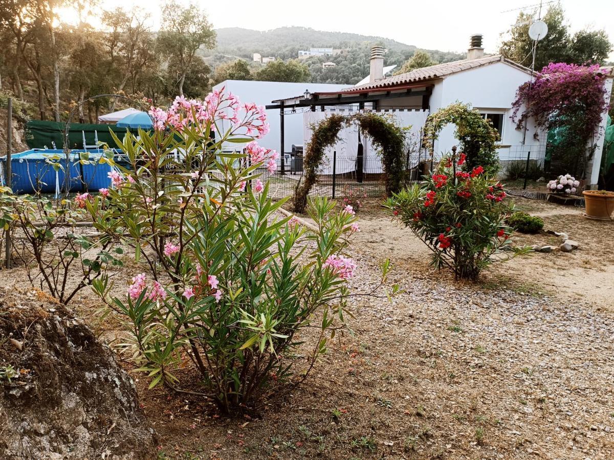 Chalet En Entorno Natural De La Costa Brava Bell-Lloc  Eksteriør bilde